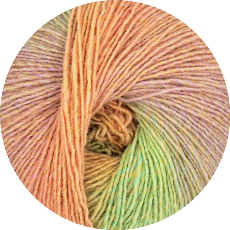 Fano Fino Linie 59 von Online