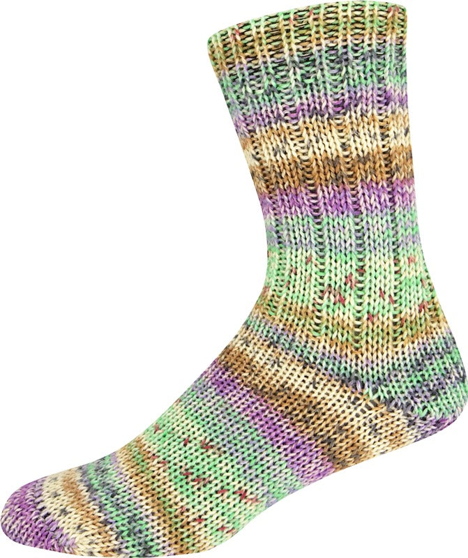 Sockenwolle 6-fach Snowfall Color Sort. 376 von Online