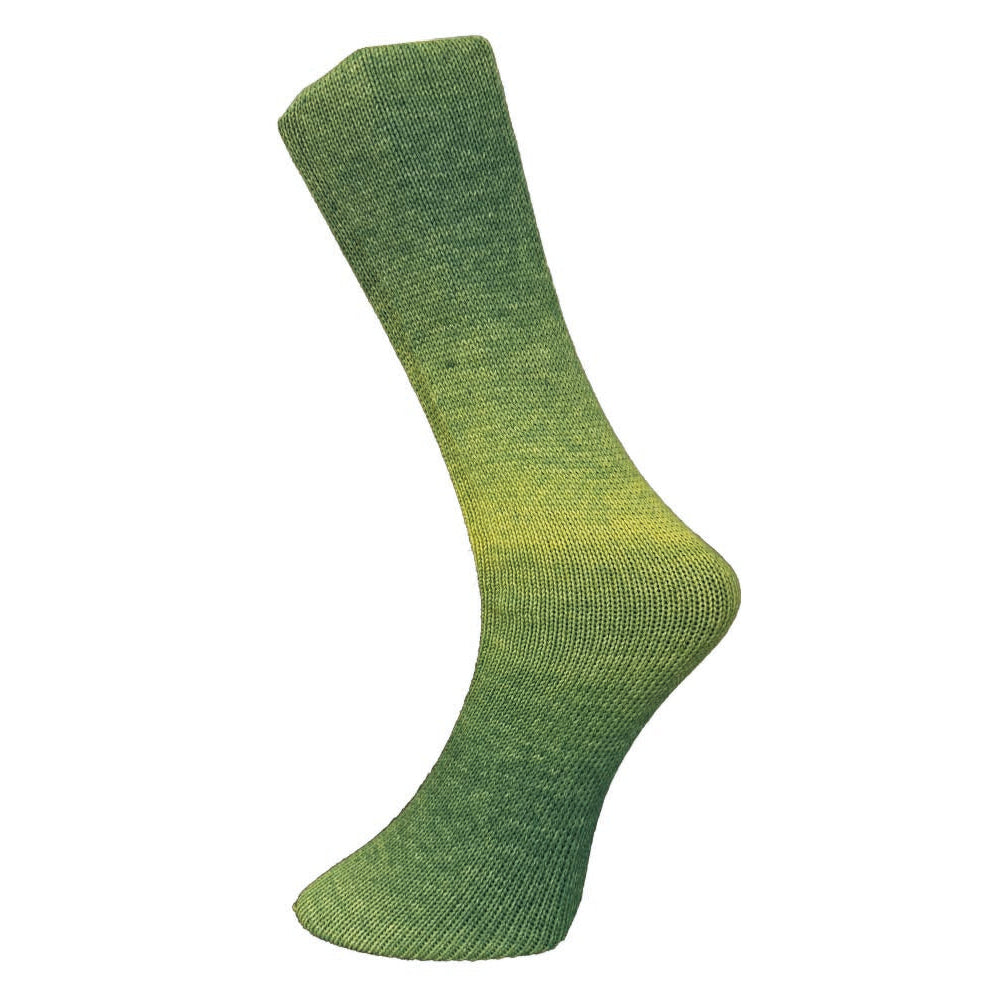 Lungauer Sockenwolle 4-fach (Merino) von Ferner Wolle