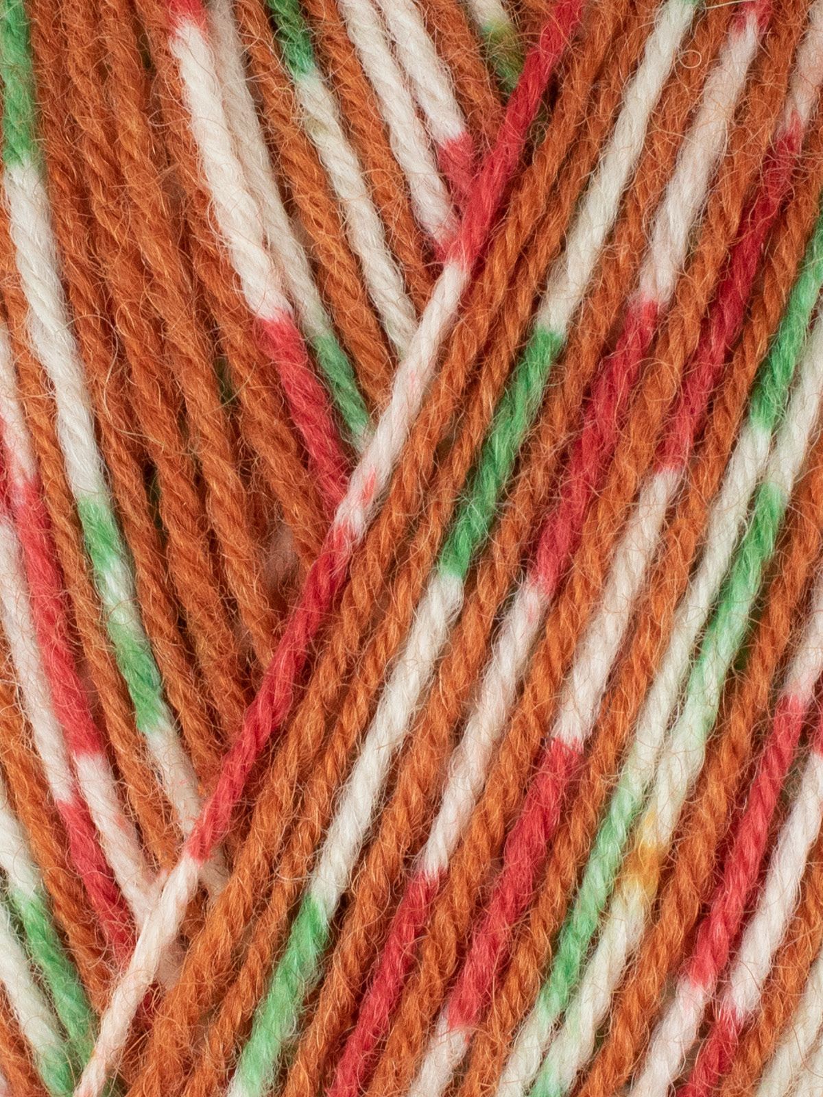 Signature Christmas Collection 4fach von West Yorkshire Spinners