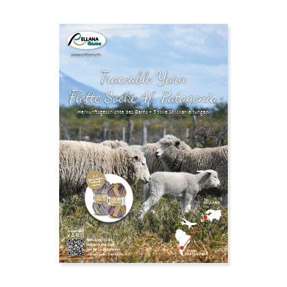 Anleitungsheft Flotte Socke Patagonia