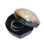 Dose Muschel (Perlmutt hell), 6 x 6cm