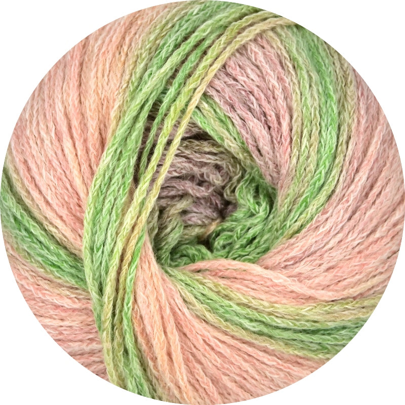Canela Linie 549 von Online