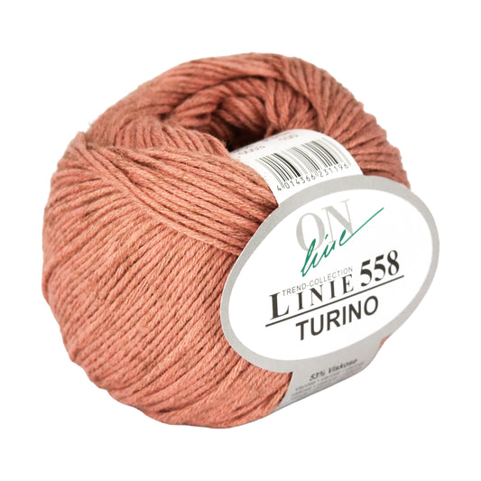 Turino Linie 558 von Online