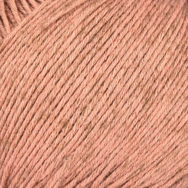 Turino Linie 558 von Online