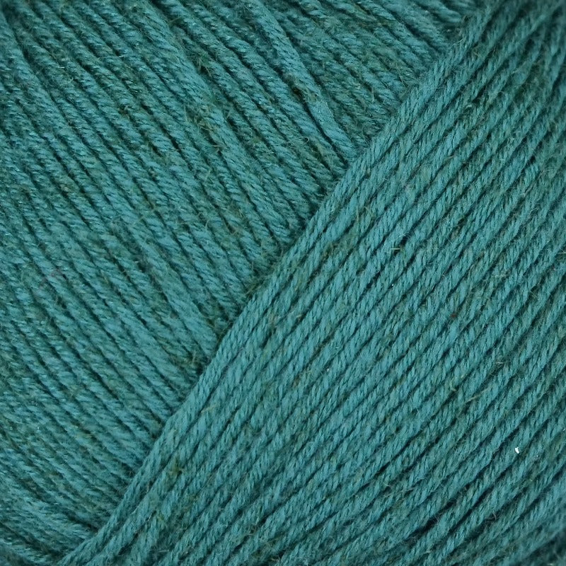 Turino Linie 558 von Online