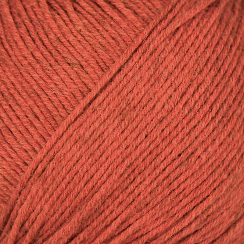 Turino Linie 558 von Online