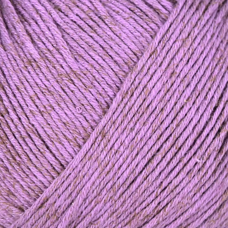 Turino Linie 558 von Online