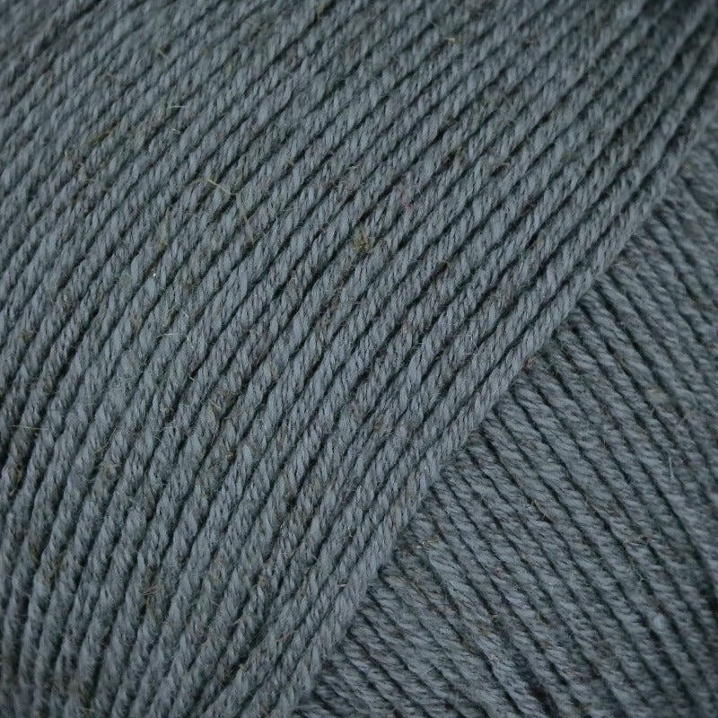 Turino Linie 558 von Online