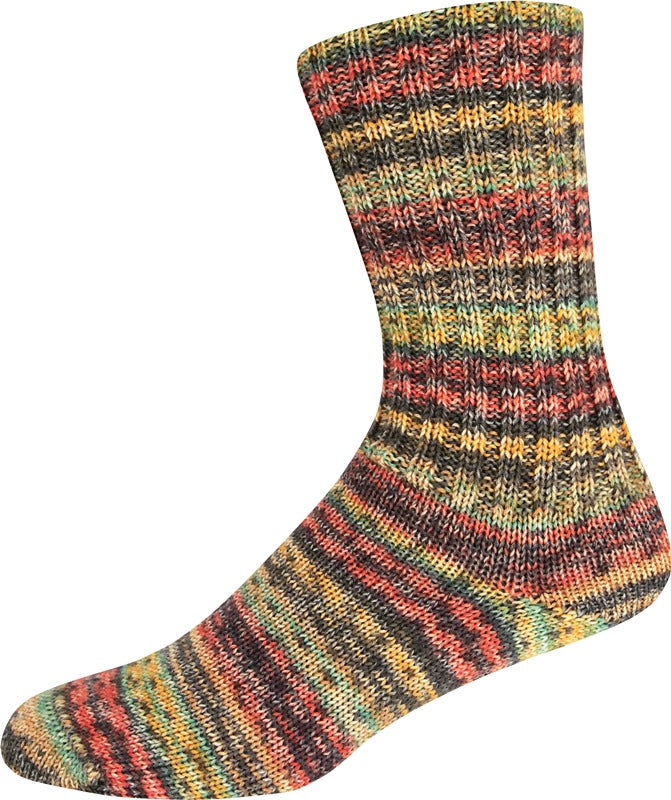 Fertigsocken Highway Color Sort. 373 von Online