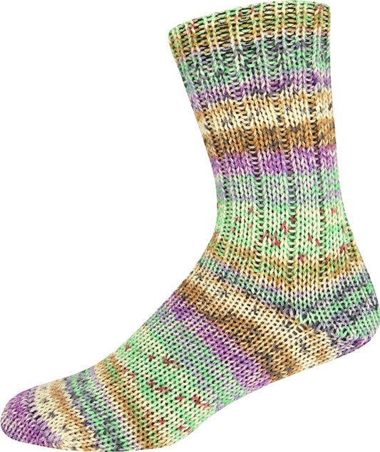 Sockenwolle 6-fach Merino Color Sort. 376 von Online