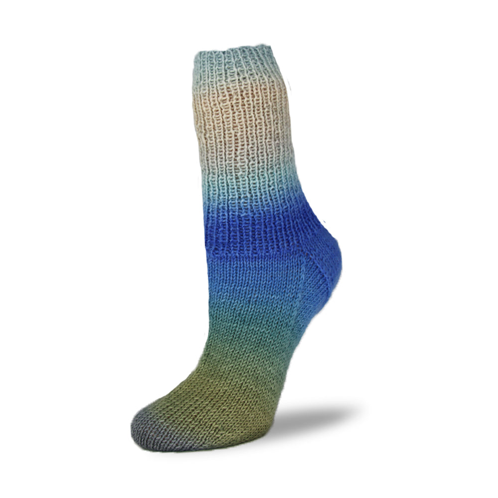 Sockenwolle Flotte Socke 4f. Patagonia Shadow von Rellana