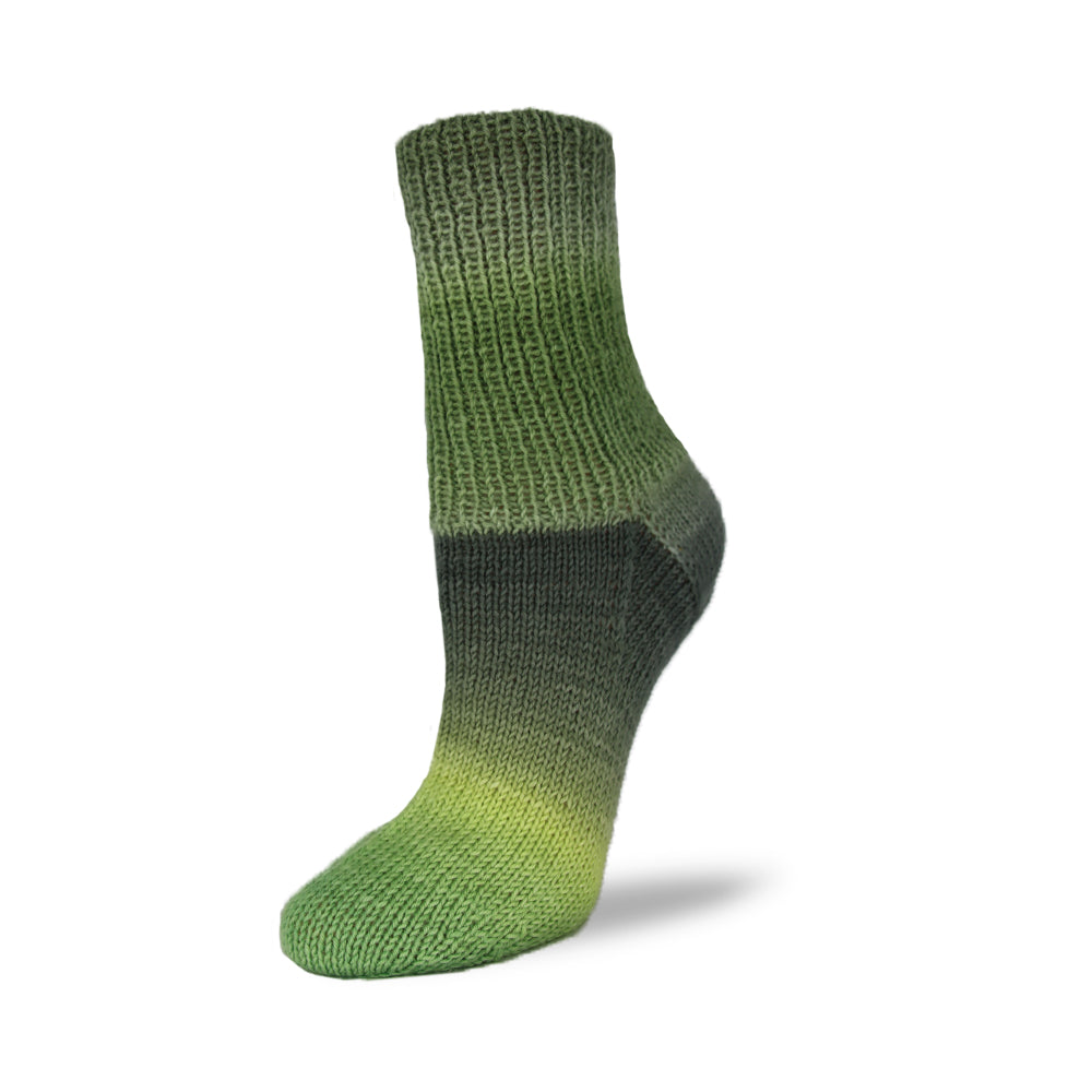 Sockenwolle Flotte Socke 4f. Patagonia Shadow von Rellana