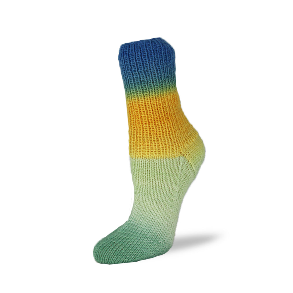 Sockenwolle Flotte Socke 4f. Patagonia Shadow von Rellana