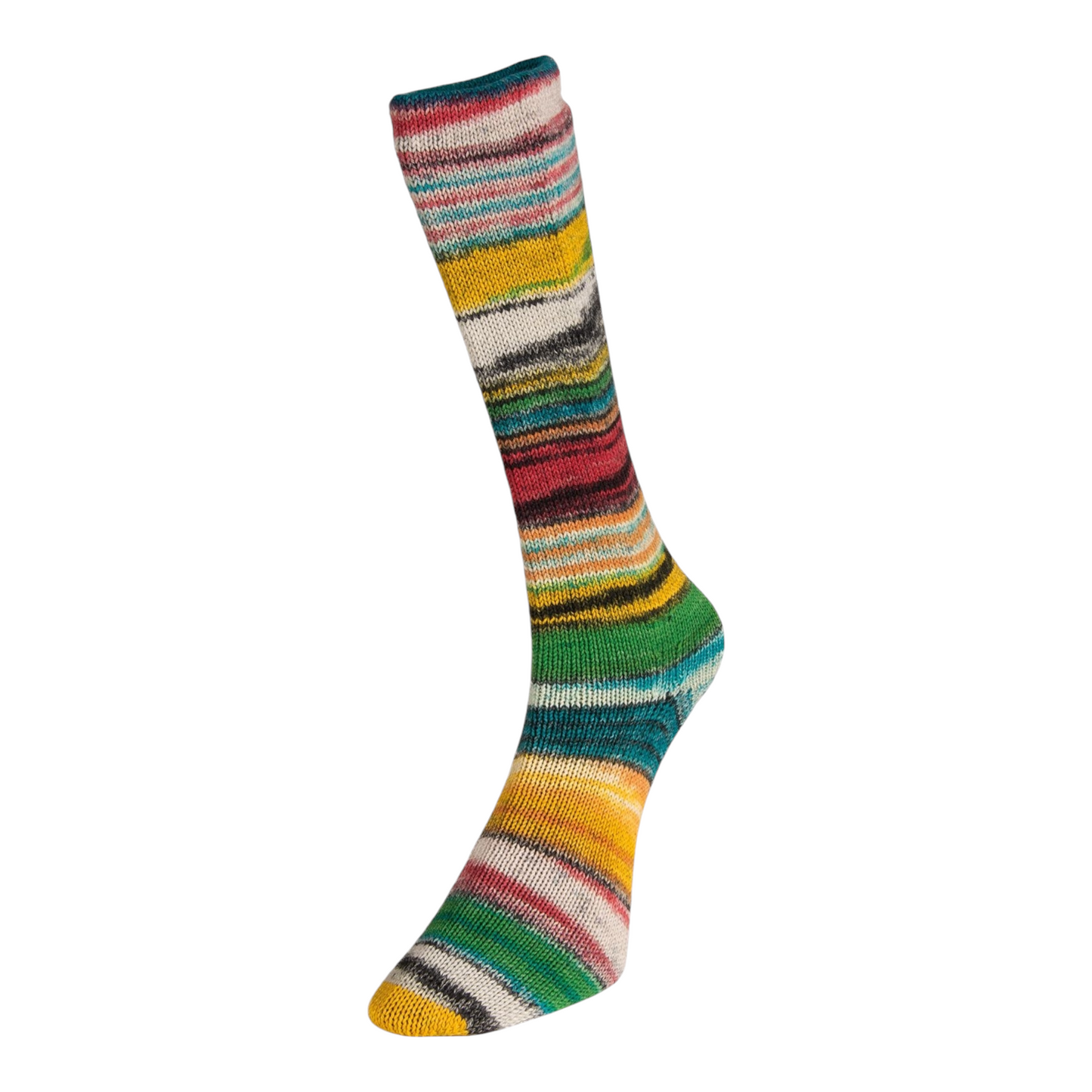 Sockenwolle Eclectic Sock von Laines du Nord