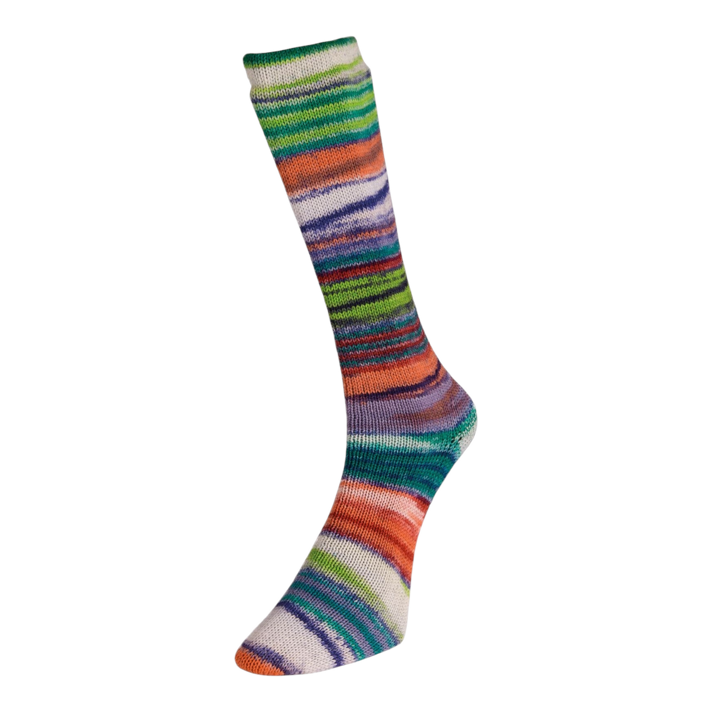 Sockenwolle Eclectic Sock von Laines du Nord