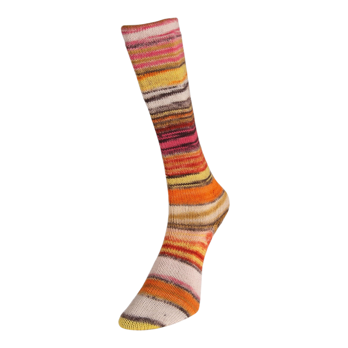 Sockenwolle Eclectic Sock von Laines du Nord